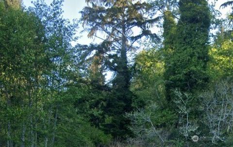Photo of 0 Cosgrove Street, Hoquiam, WA 98550 (MLS # 2403284)