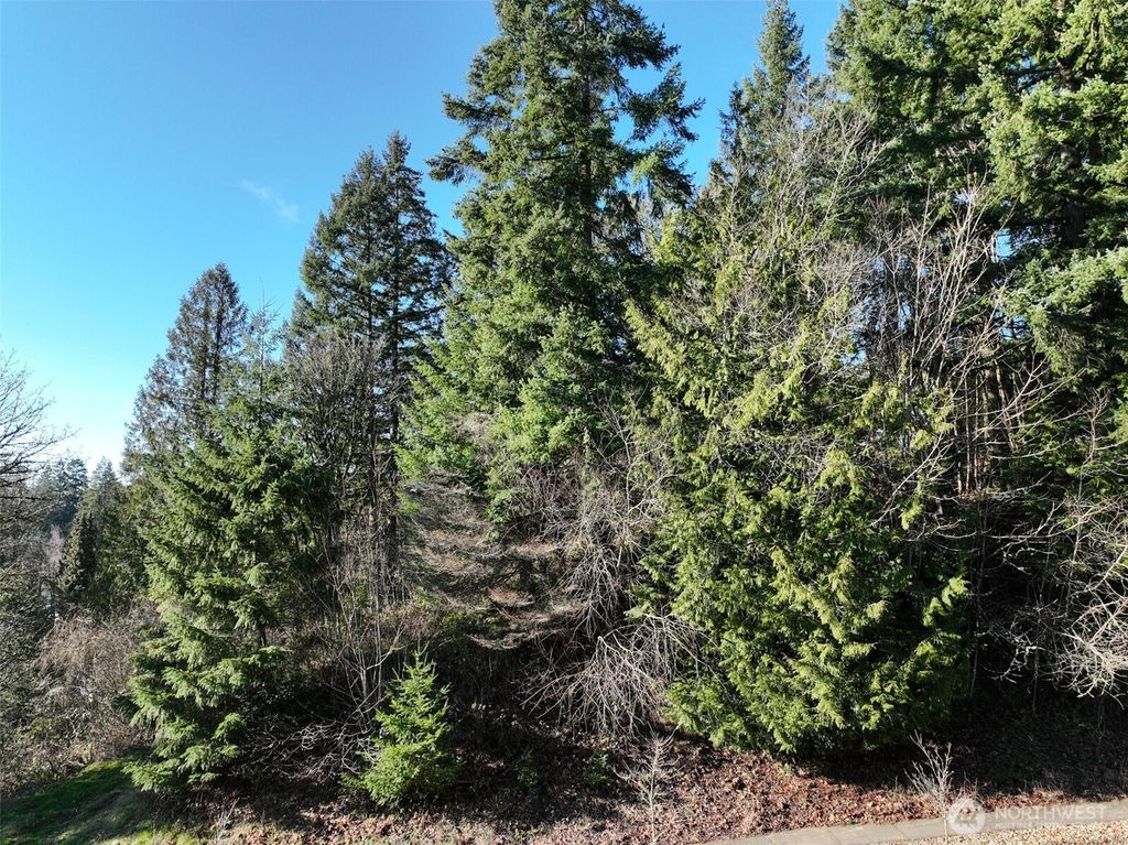 Photo of 0 City View Boulevard, Longview, WA 98632 (MLS # 2471797)