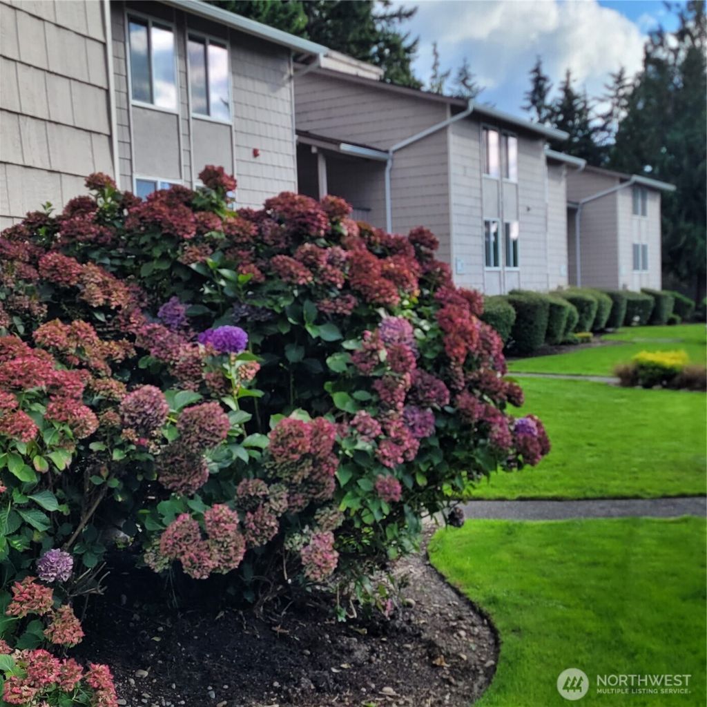 Photo of 33010 17th Place S #A-108, Federal Way, WA 98003 (MLS # 2392061)
