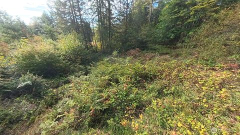 Photo of 130 LOT: B, PTN BLK: 15, Hoodsport, WA 98548 (MLS # 2441254)