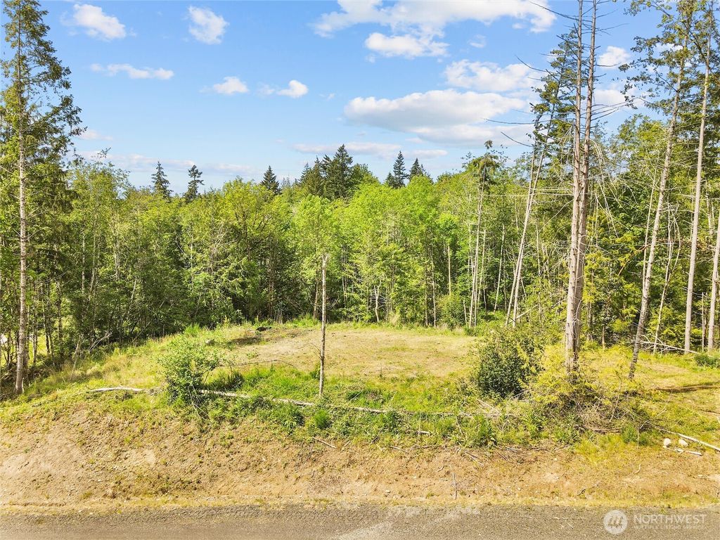 Photo of 120 E Cascara Cove Lane, Shelton, WA 98584 (MLS # 2521141)