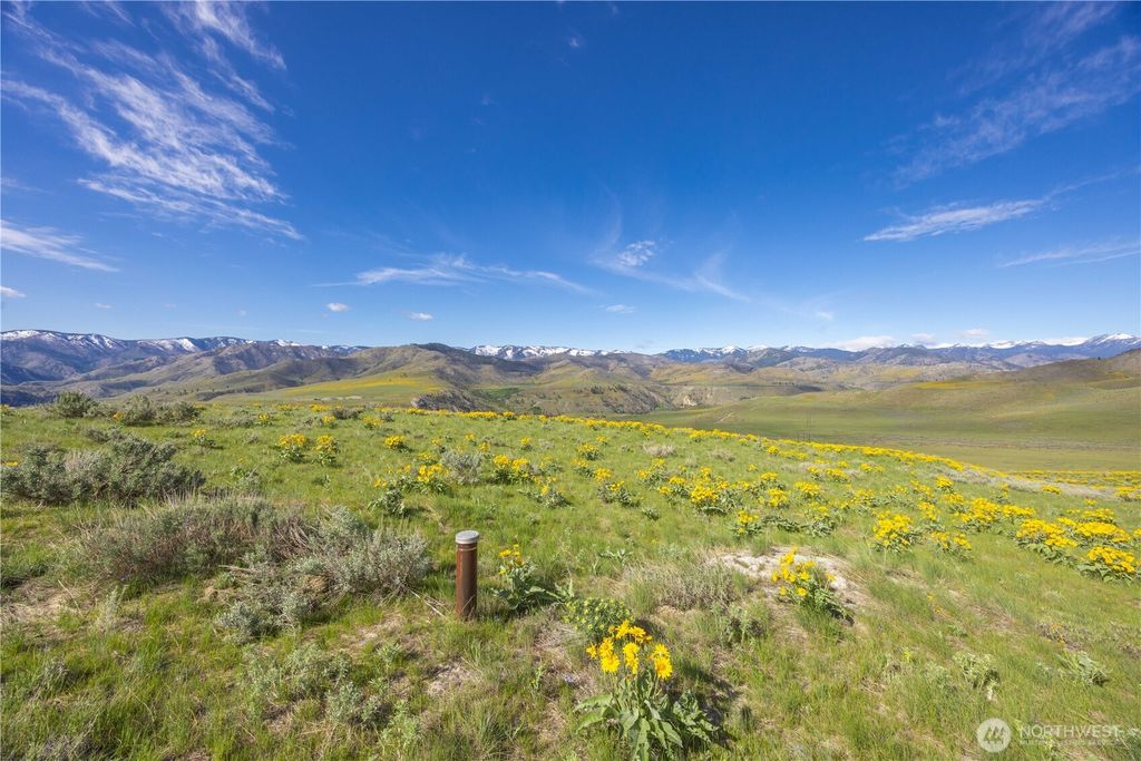 Photo of 1 Terrace View Short Plat, Methow, WA 98834 (MLS # 2487786)