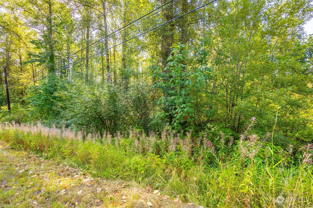 Photo of 1506 114th Street NE, Marysville, WA 98271 (MLS # 2188026)