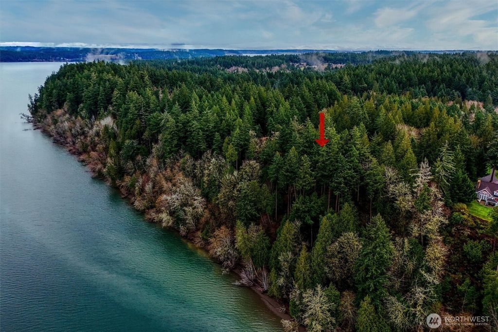 Photo of 14018 96th Street Ct, Anderson Island, WA 98303 (MLS # 2466940)