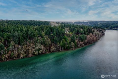 Photo of 14018 96th Street Ct, Anderson Island, WA 98303 (MLS # 2466940)