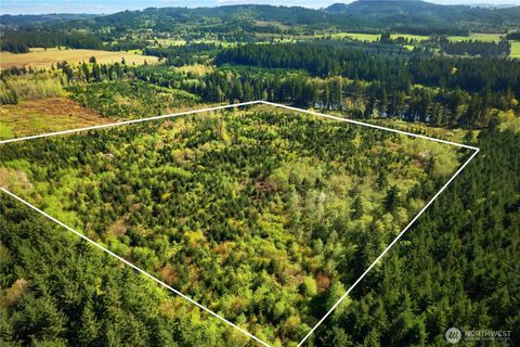 0 40 acres 185th Avenue SE Tenino WA 98589
