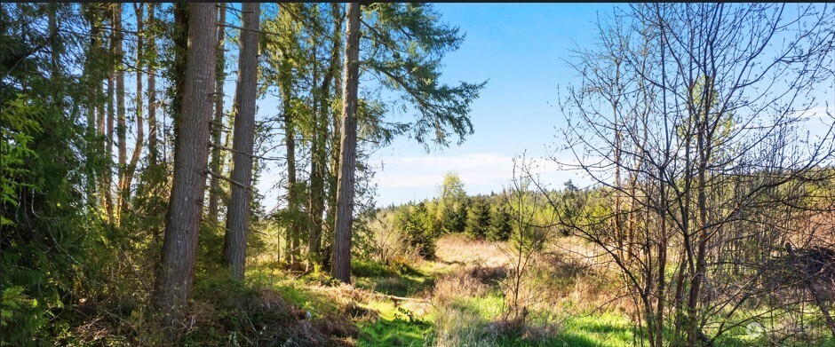 0 40 acres 185th Avenue SE