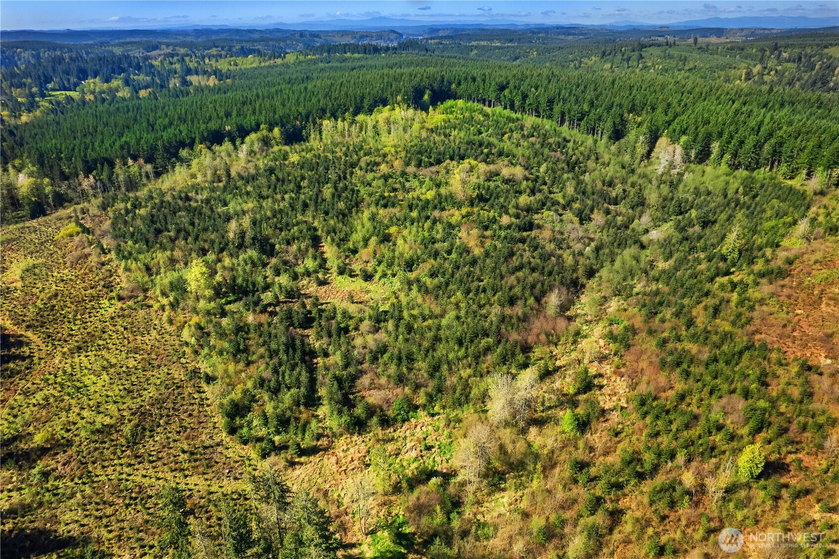 0 40 acres 185th Avenue SE