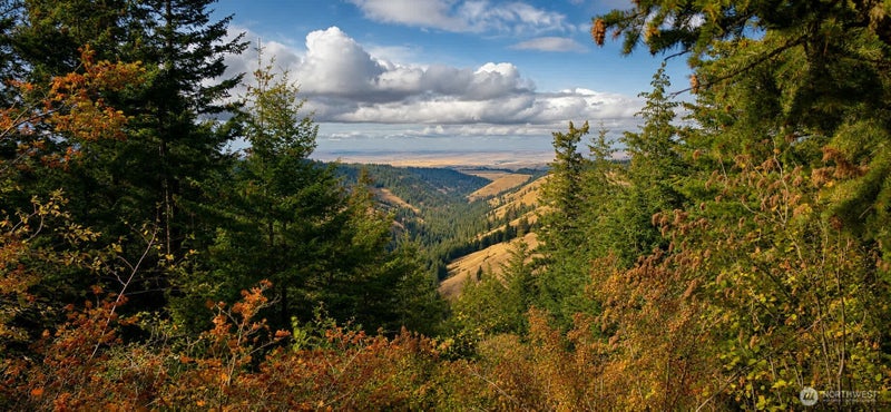 30 Acres off Biscuit Ridge