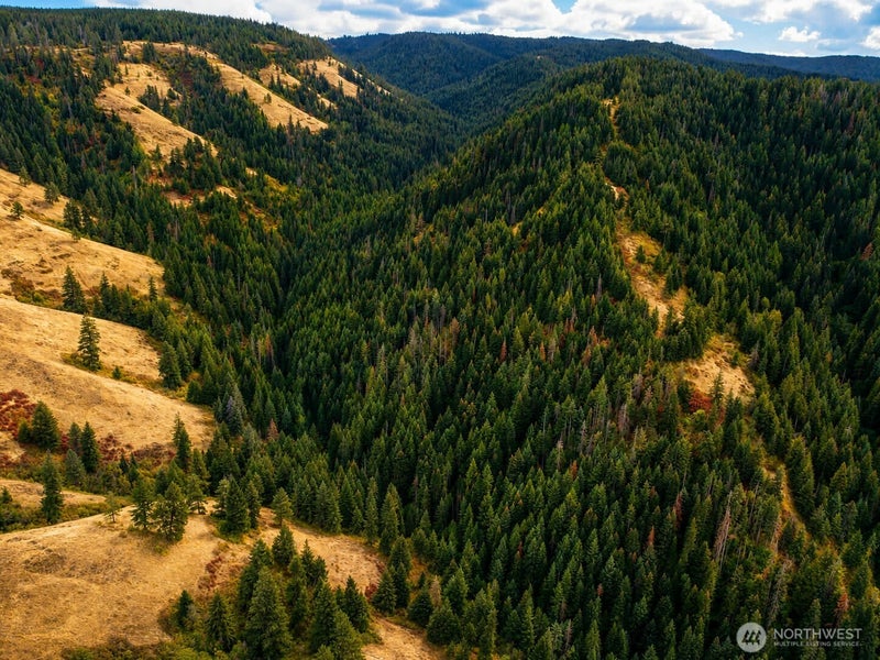 30 Acres off Biscuit Ridge