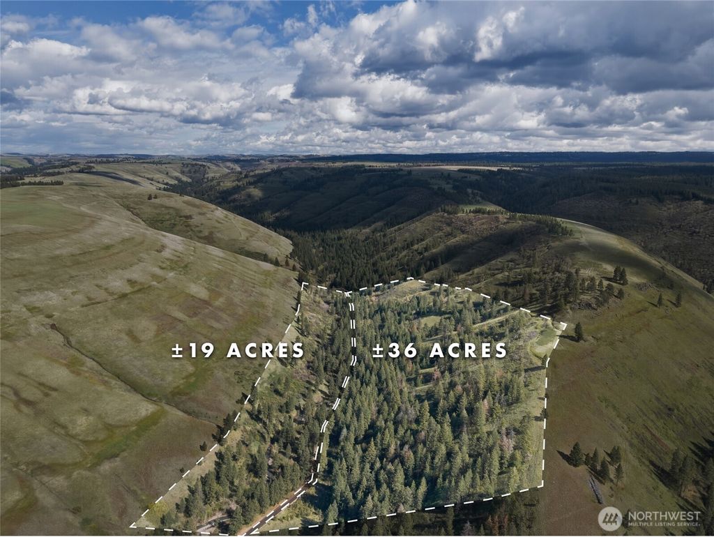 Photo of 0 S Patit Road, Dayton, WA 99328 (MLS # 2507943)