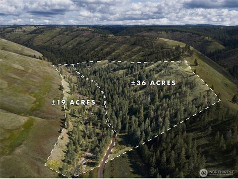 Photo of 0 S Patit Road, Dayton, WA 99328 (MLS # 2507943)