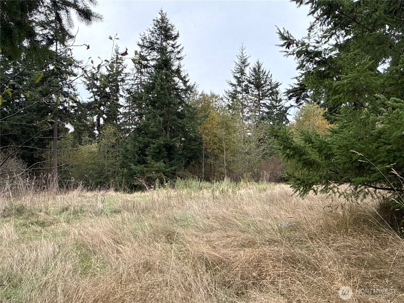 29922 SR 525
