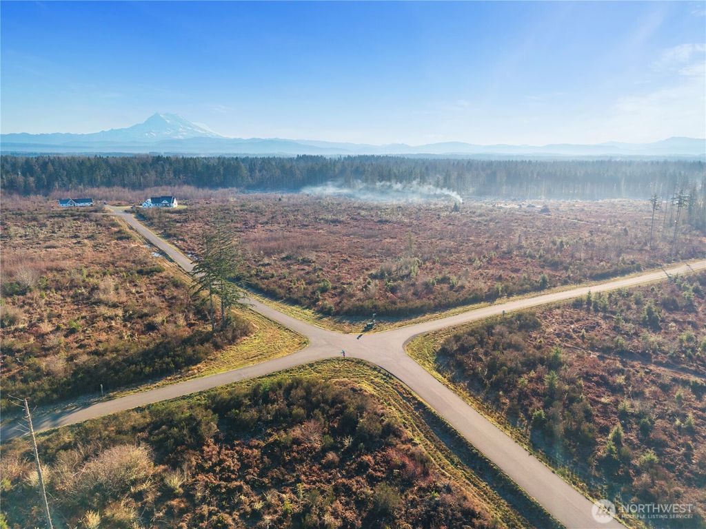 Photo of 1944 330th Street Ct E, Roy, WA 98580 (MLS # 2476369)