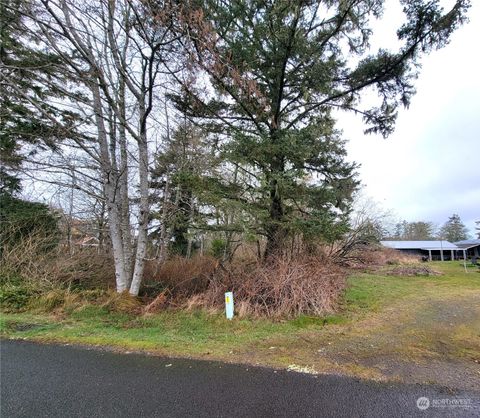 Photo of 108 22nd Street NE, Long Beach, WA 98631 (MLS # 2047780)
