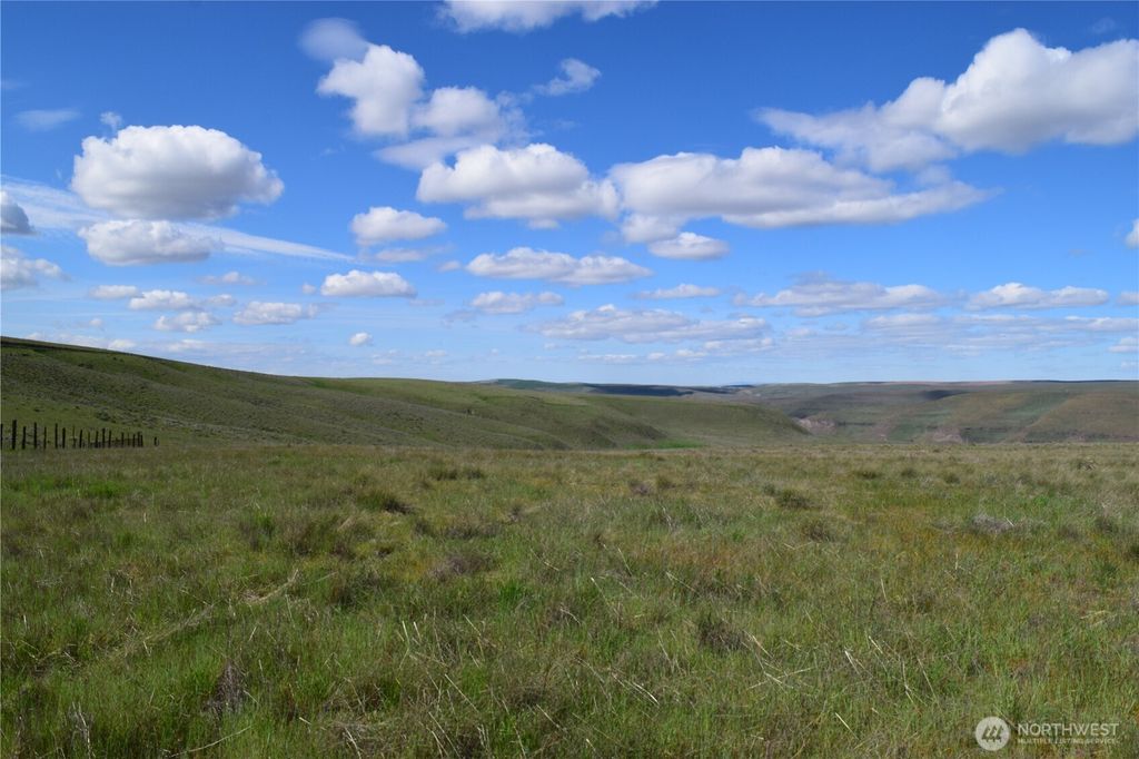 Photo of 2367 Scott Station Road, Prescott, WA 99348 (MLS # 2476251)