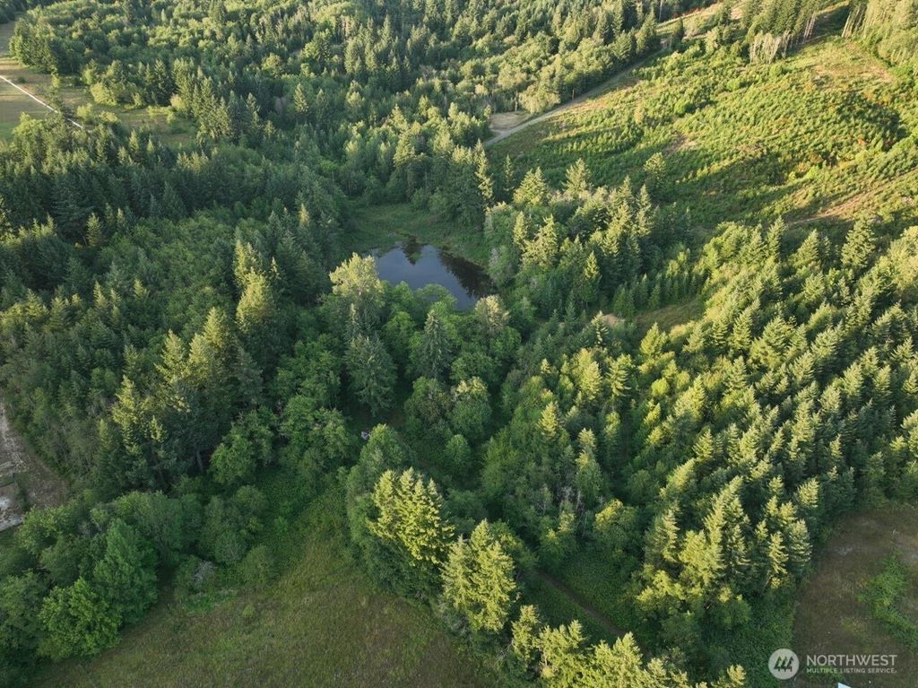 Photo of 4925 213th Avenue SW, Centralia, WA 98531 (MLS # 2464239)