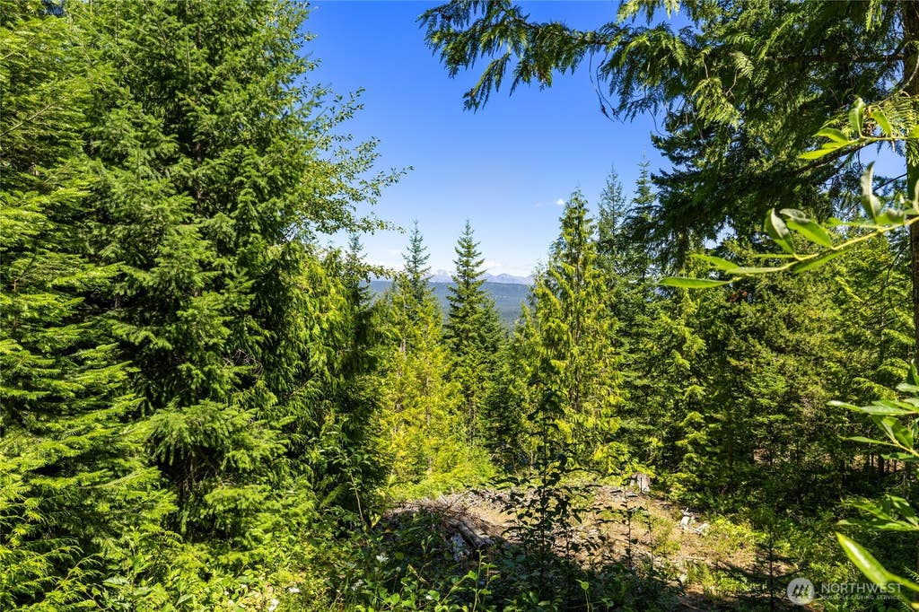 Photo of 91 Basin Creek Way, Cle Elum, WA 98922 (MLS # 2564230)