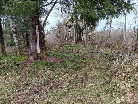 Photo of 3507 102nd Street, Long Beach, WA 98640 (MLS # 2307628)