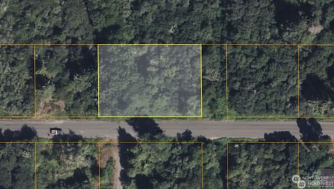 3507 102nd Street Long Beach WA 98640