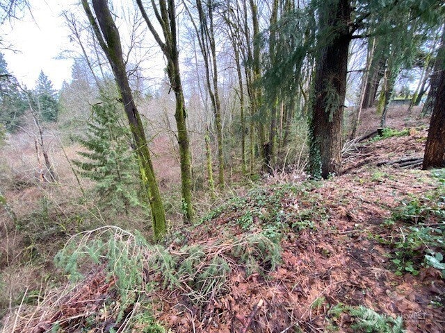 Photo of 132 &amp;129 Linda Street SE, Tumwater, WA 98501 (MLS # 2574638)