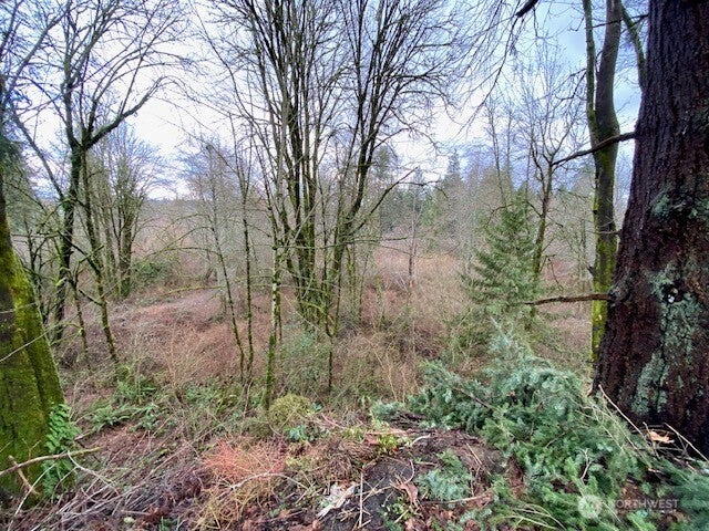 Photo of 132 &amp;129 Linda Street SE, Tumwater, WA 98501 (MLS # 2574638)