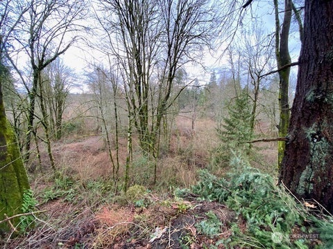 Photo of 132 &129 Linda Street SE, Tumwater, WA 98501 (MLS # 2574638)