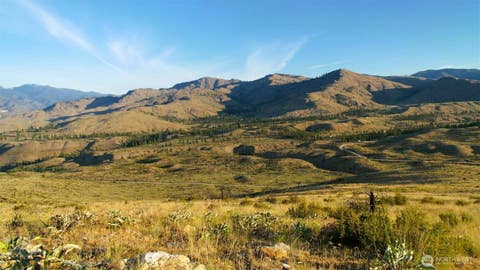 Photo of 75 High Ranch Road, Methow, WA 98834 (MLS # 2546644)