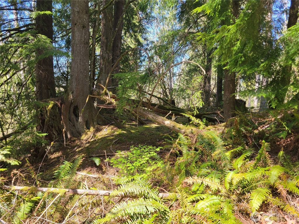 Photo of 0 XXX Mtn Loop Highway, Granite Falls, WA 98252 (MLS # 2537284)