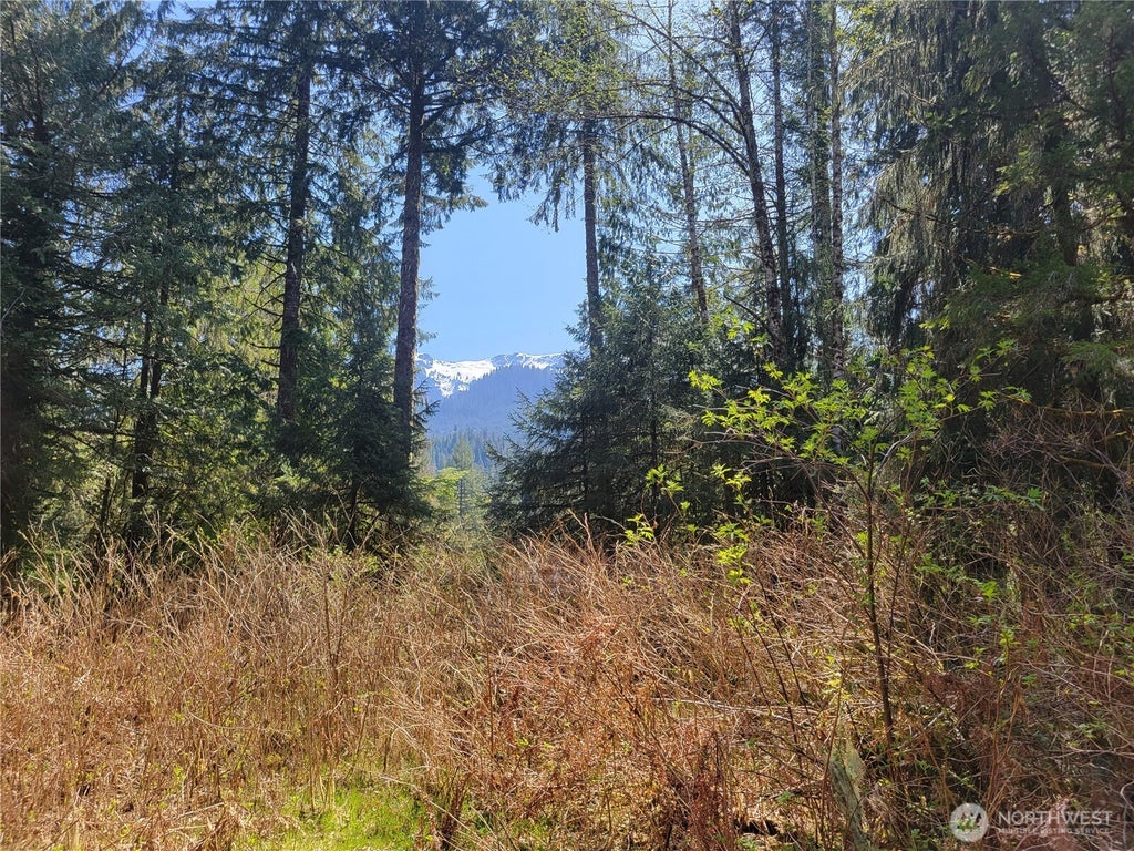 Photo of 0 XXX Mtn Loop Highway, Granite Falls, WA 98252 (MLS # 2537284)