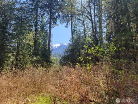 Photo of 0 XXX Mtn Loop Highway, Granite Falls, WA 98252 (MLS # 2537284)
