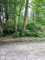 62 G ADMIRALTY DRIVE, HAT ISLAND, WA 98206 - Image ec2ce35d5a6735d2d1760418c86dc619/2458982695