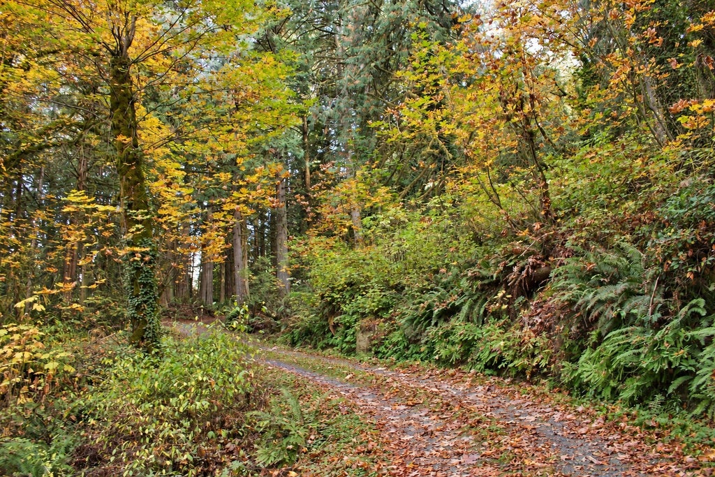 Photo of 1 E Max Lane, Belfair, WA 98528 (MLS # 2599040)