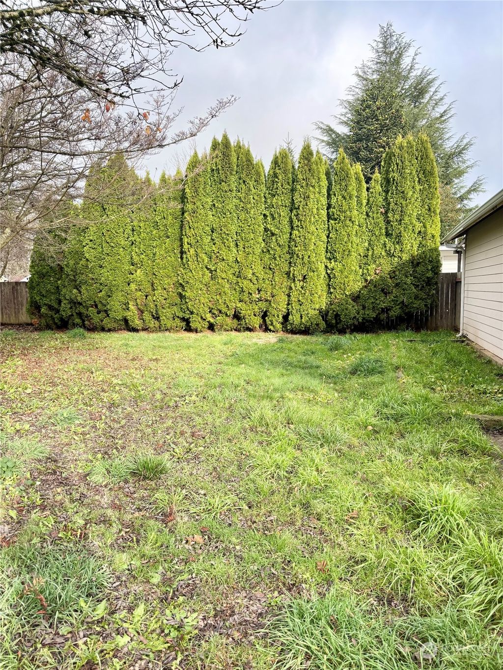 listing image 9367430367113769346