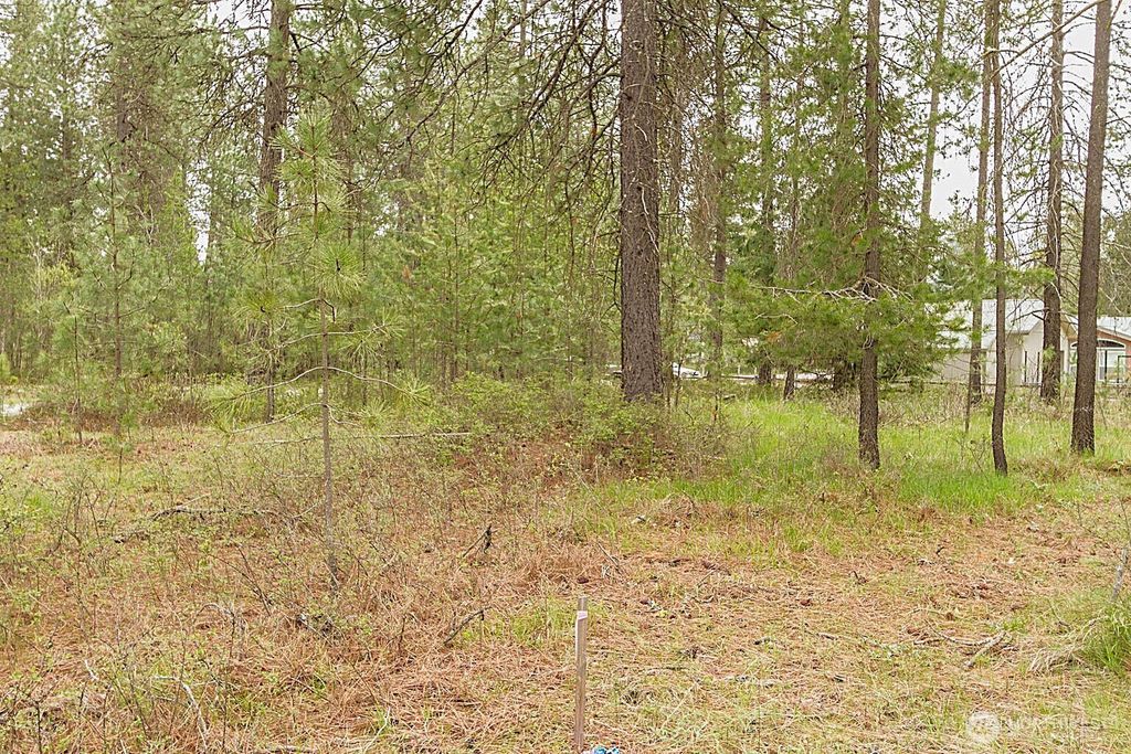 Photo of 202 Eagle Drive, Chewelah, WA 99109 (MLS # 2469404)