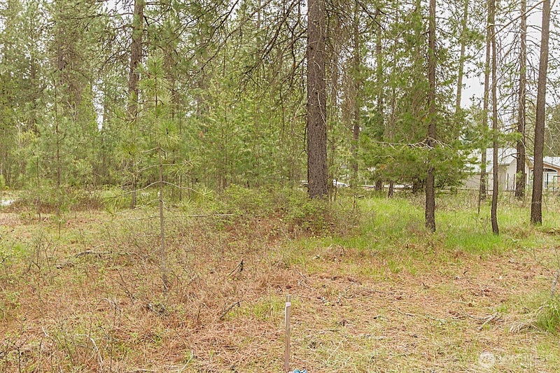 202 Eagle Drive