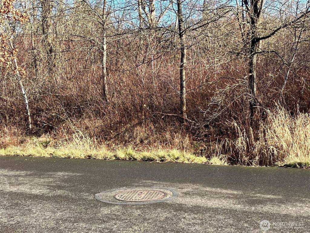 Photo of 0 xx 266th Avenue SE, Enumclaw, WA 98022 (MLS # 2486486)