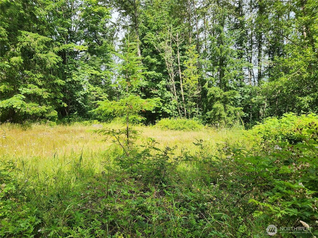 Photo of 4 XX 239th Avenue NE, Sammamish, WA 98074 (MLS # 2402485)