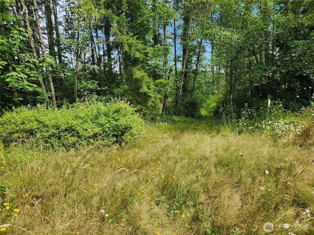 Photo of 4 XX 239th Avenue NE, Sammamish, WA 98074 (MLS # 2402485)