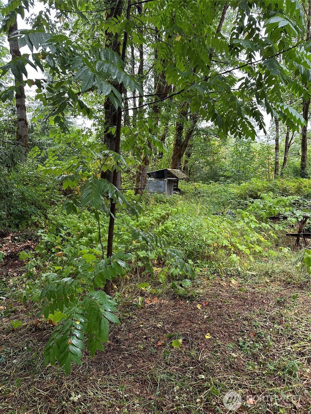Photo of 63428 NE 196th Street, Gold Bar, WA 98251 (MLS # 2438338)