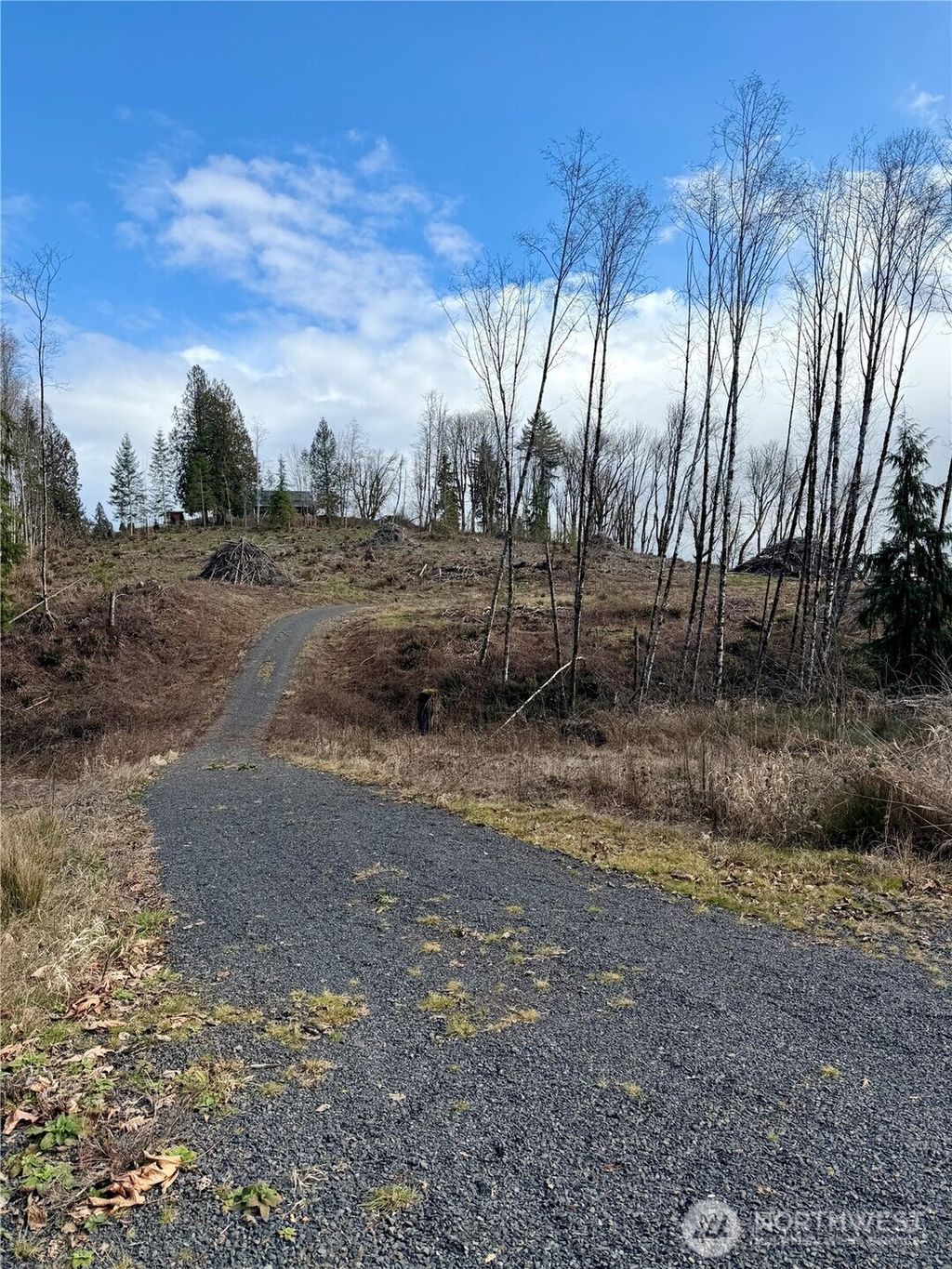 Photo of 0 August Road, Onalaska, WA 98570 (MLS # 2482438)