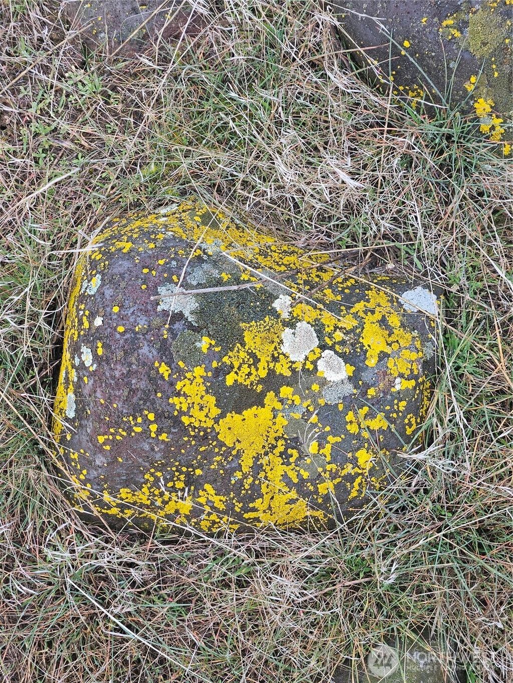 Photo of 9312 NW Road H, Ephrata, WA 98823 (MLS # 2486759)