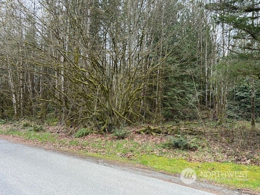 Photo of 0 Tokul Road SE SE, Snoqualmie, WA 98065 (MLS # 2312310)