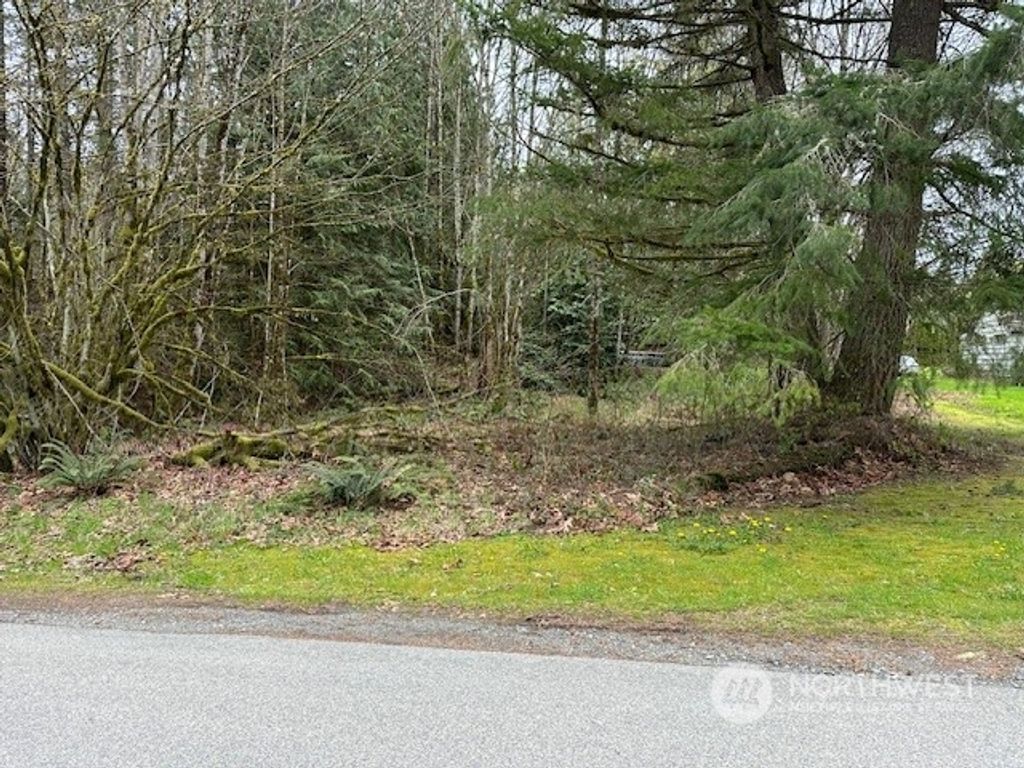 Photo of 0 Tokul Road SE SE, Snoqualmie, WA 98065 (MLS # 2312310)