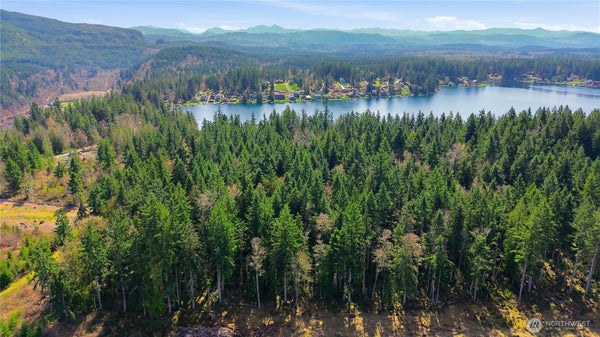 CLEAR LAKE NORTH RD E, EATONVILLE, WA 98328 - Image eccf82e7fba1e7e51fbf5f4b3e1a91a6/1579676884