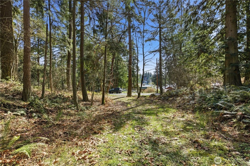 Photo of 0 Clear Lake Road N, Eatonville, WA 98328 (MLS # 2497451)