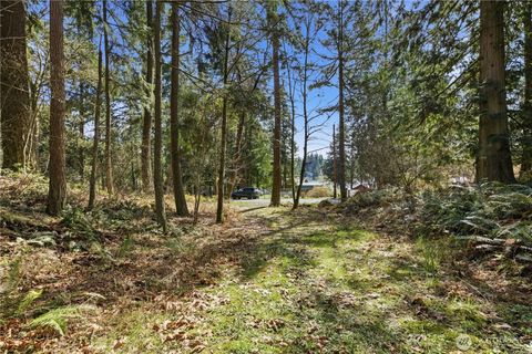 Photo of 0 Clear Lake Road N, Eatonville, WA 98328 (MLS # 2497451)