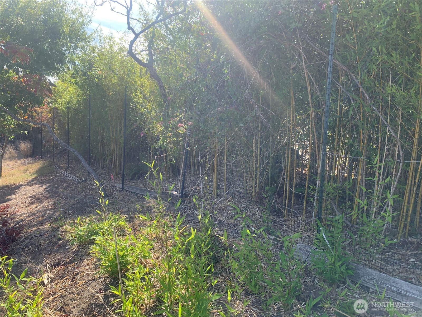 Vashon, Washington 98070, United States, ,Land,Active,222292