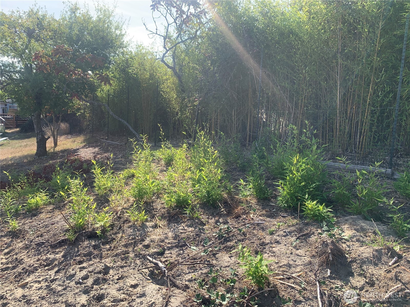 Vashon, Washington 98070, United States, ,Land,Active,222292