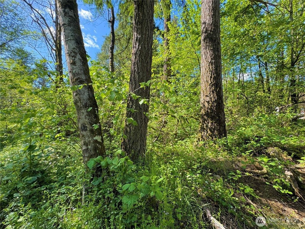 Photo of 64000 NE Stevens Pass Highway, Gold Bar, WA 98251 (MLS # 2382270)